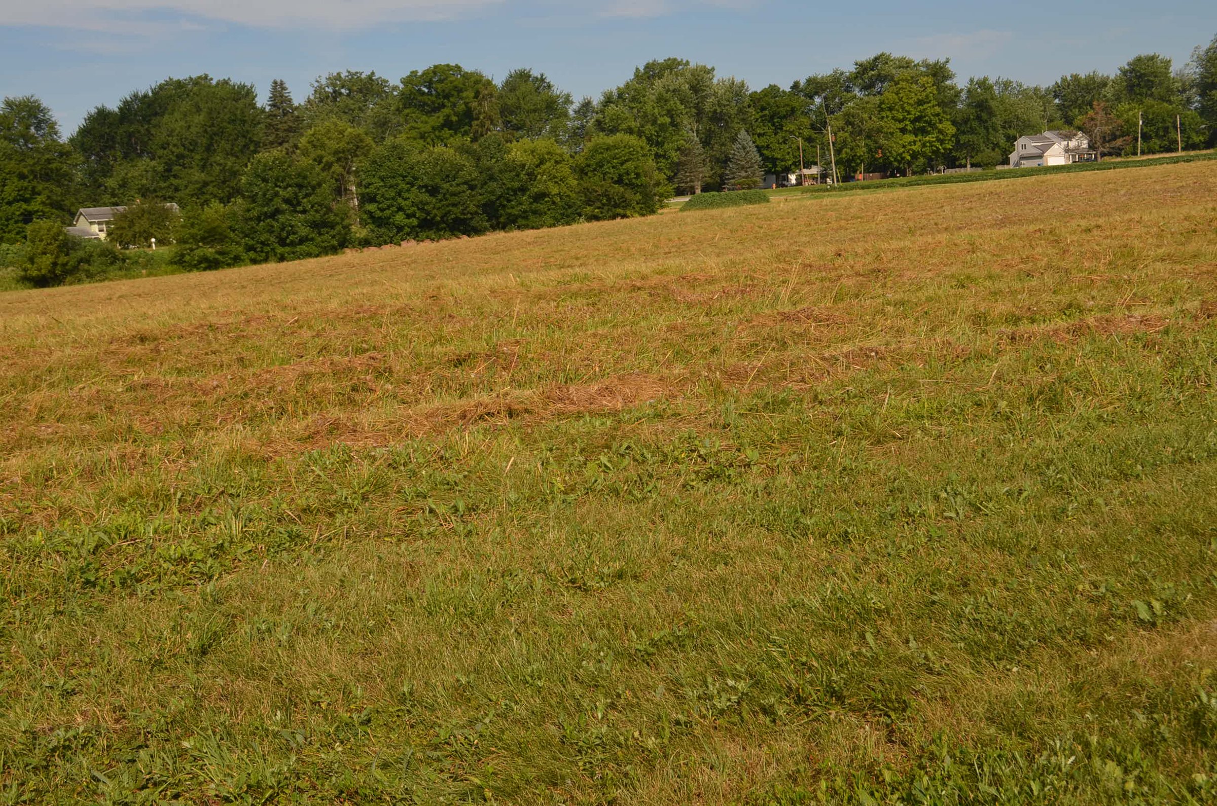 Property photo 12 - REAL ESTATE AUCTION - 26+/- ACRES IN 3 TRACTS IN SOUTHWEST ALLEN COUNTY, INDIANA